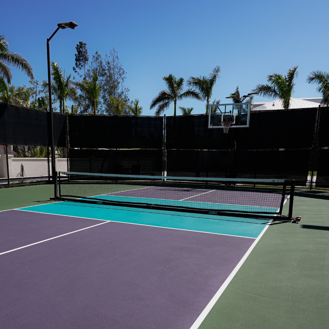 Image of Thunderdome System | Semi-Permanent Pickleball Net